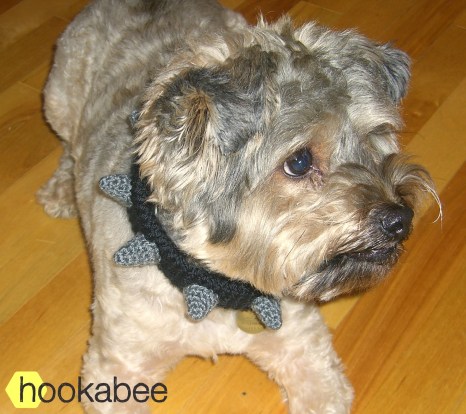 Crochet spiked dog collar free pattern by @hookabee crochet (www.hookabee.com) #crochet #pattern #dogcollar #dogs #free #freepattern